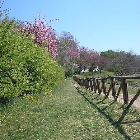 Del Nobile 토리노