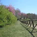 Del Nobile Turin