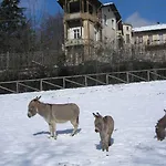 Del Nobile