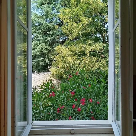 Apartment Del Nobile Turin