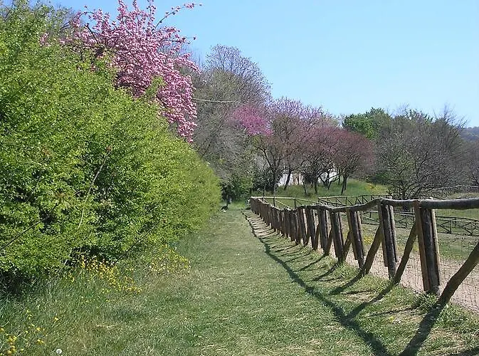 Del Nobile Турин